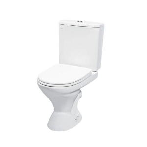 -   Della Brio Plus ( ).