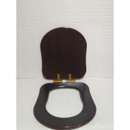   -     GSI Old Antea ( - ).