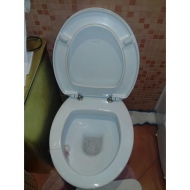 ������-������� ��� ������� Catalano Zero. (������)